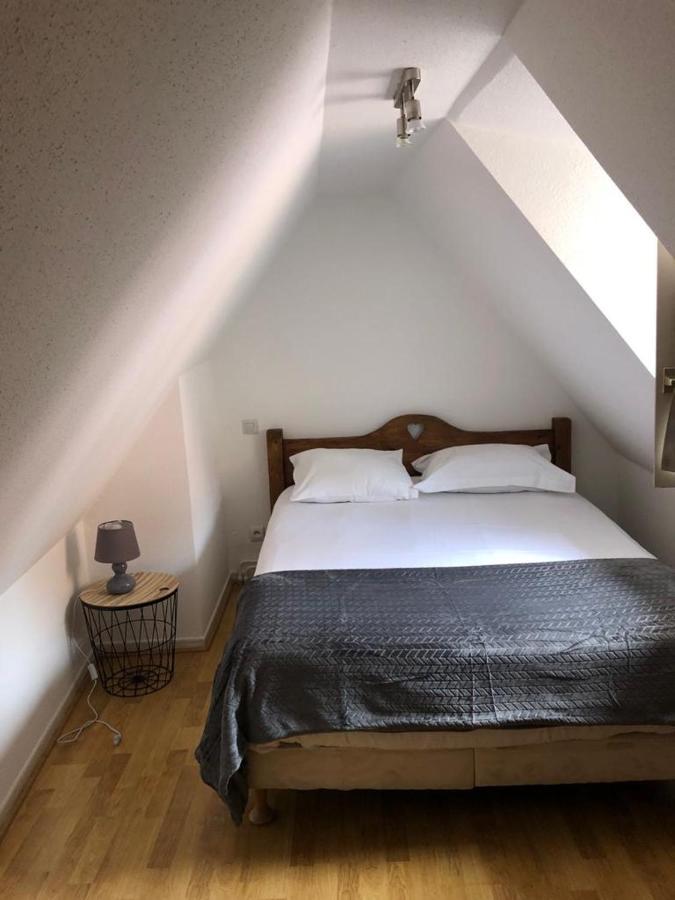 Les Appartements Du Koifhus Colmar Zewnętrze zdjęcie