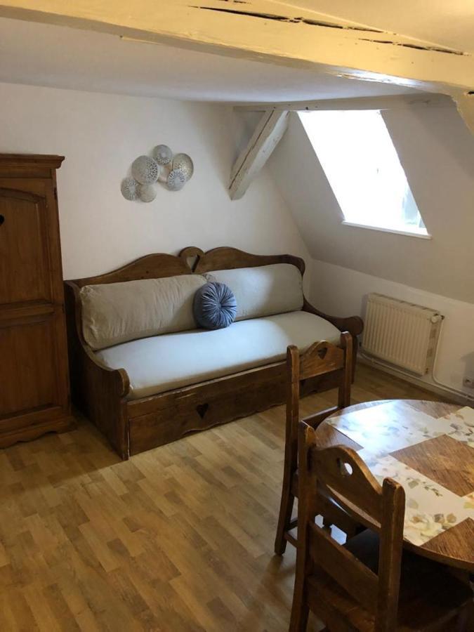 Les Appartements Du Koifhus Colmar Zewnętrze zdjęcie
