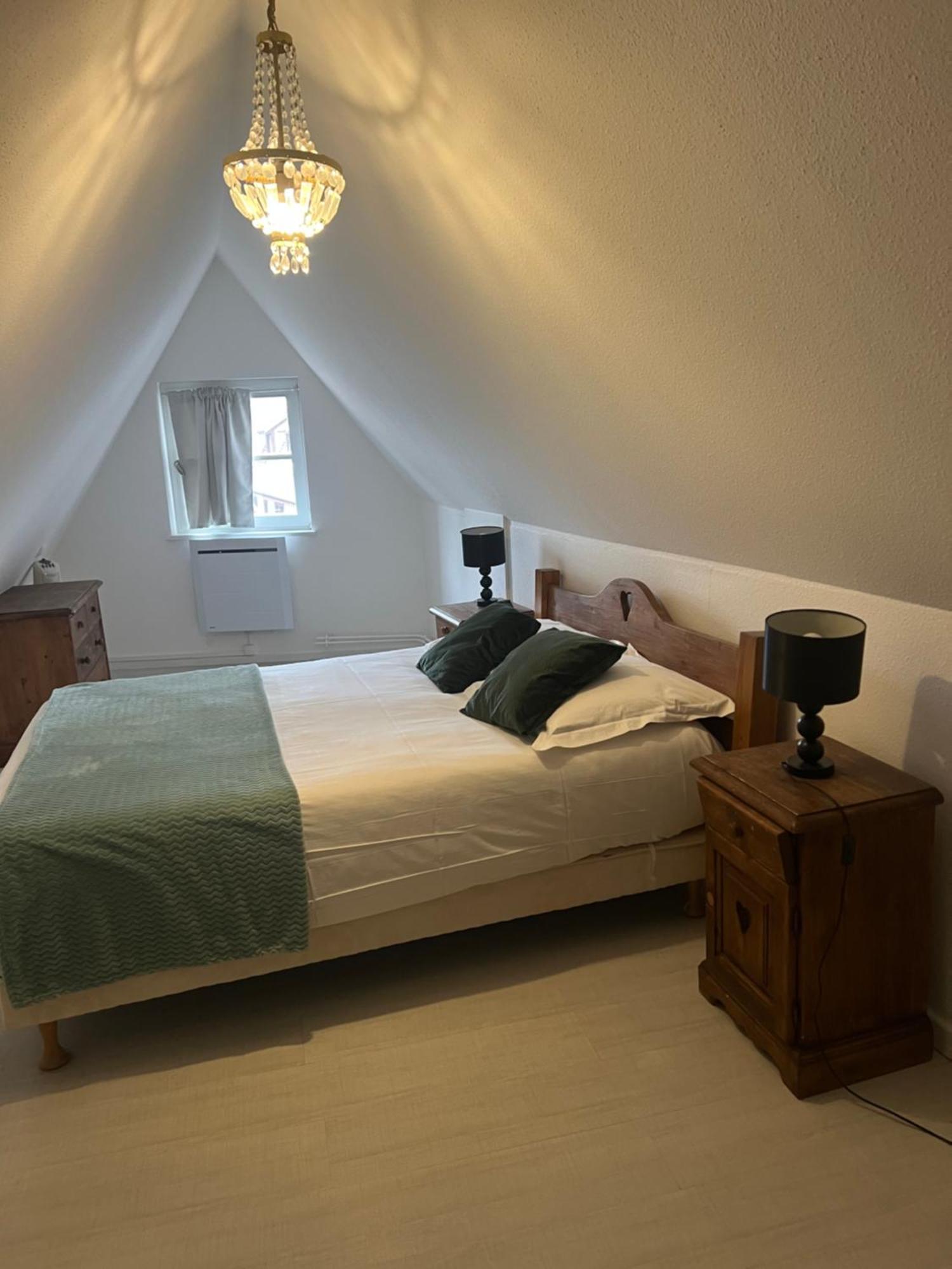 Les Appartements Du Koifhus Colmar Zewnętrze zdjęcie