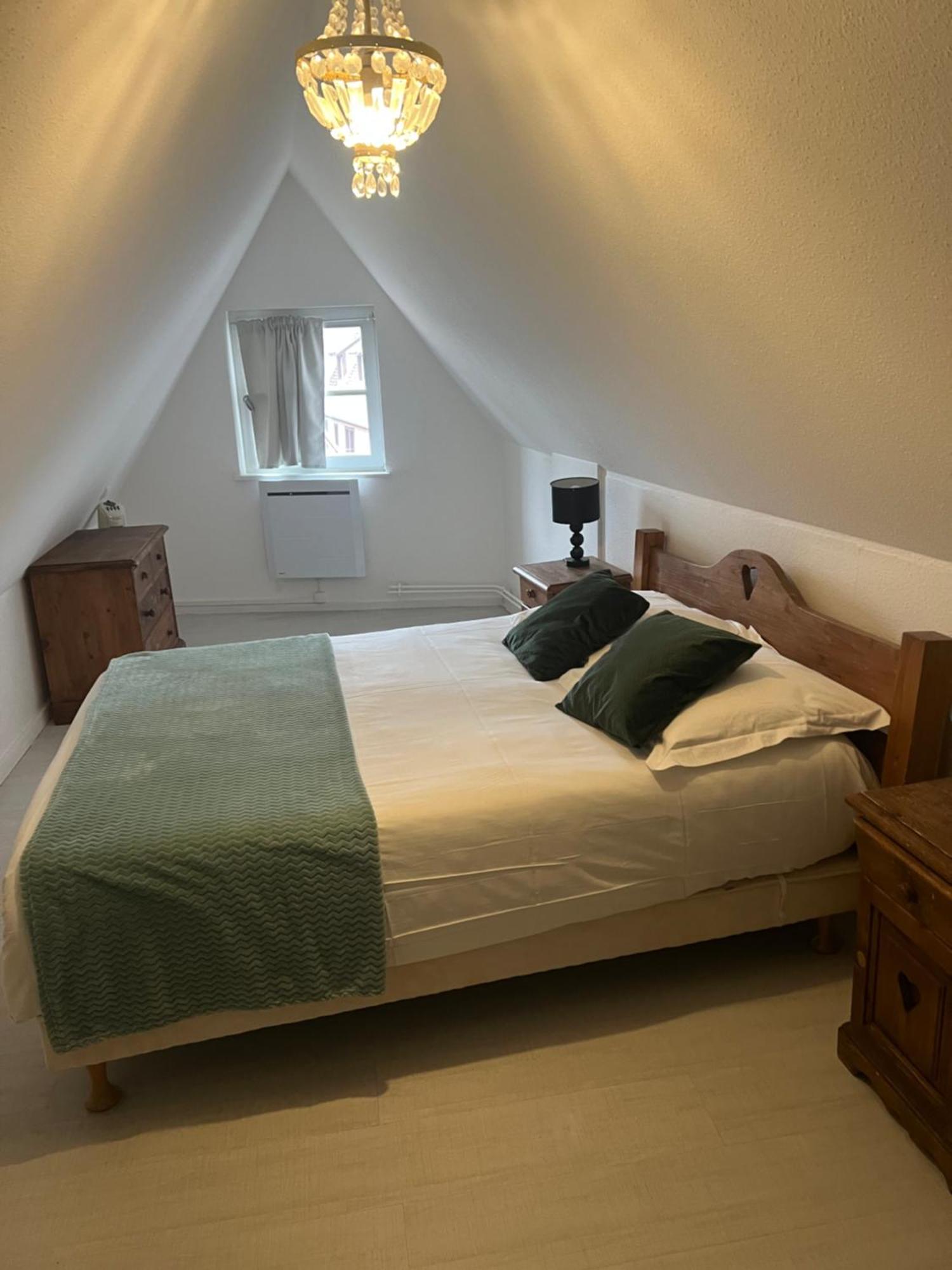 Les Appartements Du Koifhus Colmar Zewnętrze zdjęcie